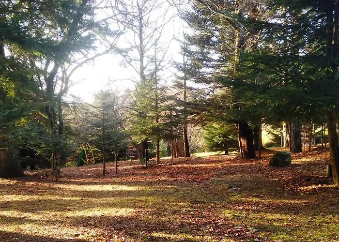 לינה וארוחת בוקר Casa Alegria מוראנו קלאברו