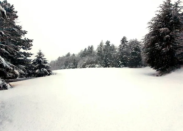 Casa Alegria * מוראנו קלאברו